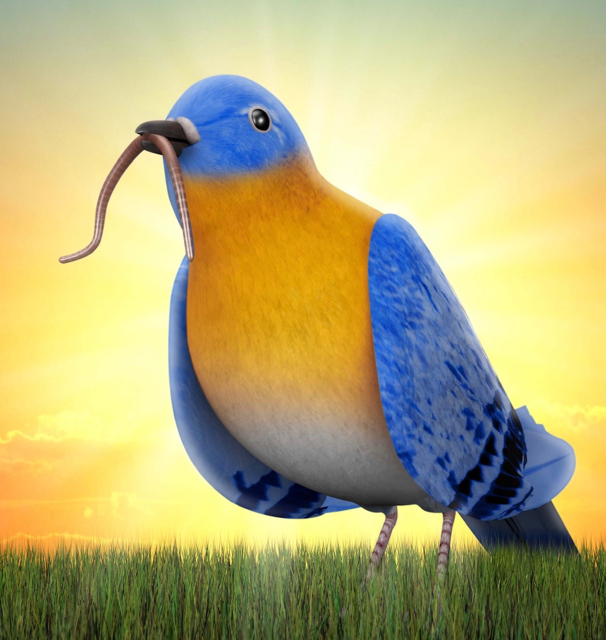 Early Bird Estate Services bluebird logo